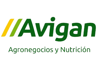Avigan